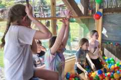IMG-20260506-WA0005