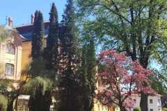 IMG-20260506-WA0015