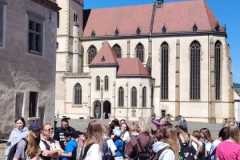 IMG-20260506-WA0017