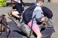 IMG-20260506-WA0032