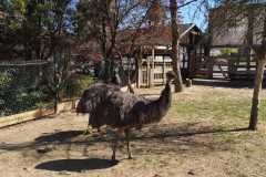 IMG-20260506-WA0040