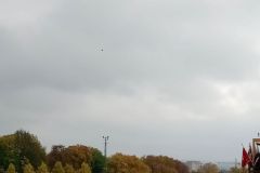 c003