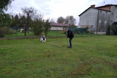 IMG_20201030_081008