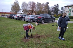 IMG_20201030_081849