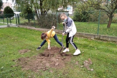 IMG_20201030_082855