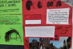 WhatsApp-Image-2026-04-27-at-09.20.57-3