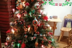 IMG_20211013_085504