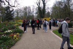 IMG_20220427_093511