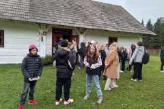 IMG-20251020-WA0016