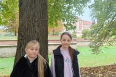 IMG-20251020-WA0017